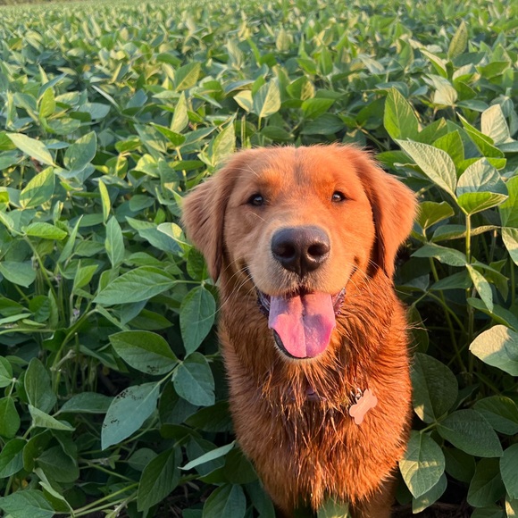 • Wanderlust_wrb is LIVE • Share Show • Like This Listing To Be Notified • - Picture 9 of 11